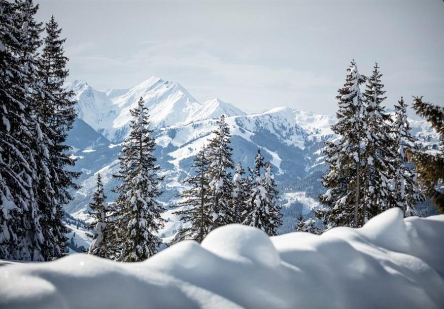 Ferienwohnung Zederberghof St. Johann im Pongau Exterior foto